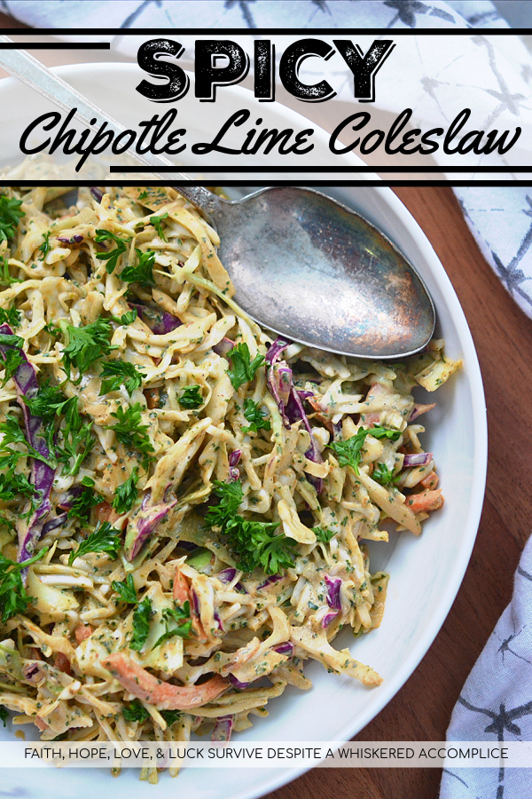 Spicy Chipotle Lime Coleslaw - Ground chipotle, fresh lime juice, and a touch of honey give this quick to toss together summer coleslaw a tart, sweet, and spicy flavor that your entire family is sure to enjoy at your next cookout, picnic, or BBQ.