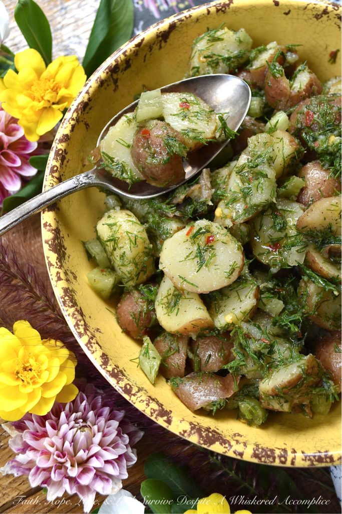 Lemon & Dill Potato Salad with No Mayonnaise - The zest and juice of a lemon, give this potato salad, made with no mayonnaise, a light, refreshing, and vibrant flavor. Add in a generous amount of fresh dill and crunchy diced celery, and you'll see just why this potato salad is such a fantastic side dish. it pairs well with almost any main course, is easy to make, and you won't have to worry about it sitting out for a bit, due to the lack of mayo.