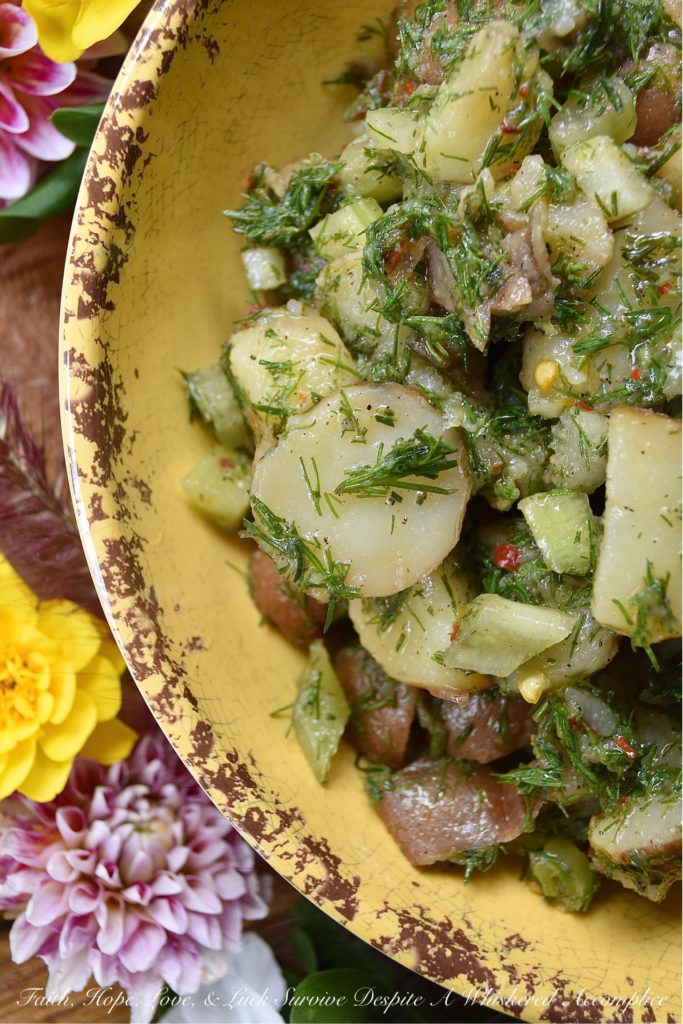 Lemon & Dill Potato Salad with No Mayonnaise - The zest and juice of a lemon, give this potato salad, made with no mayonnaise, a light, refreshing, and vibrant flavor. Add in a generous amount of fresh dill and crunchy diced celery, and you'll see just why this potato salad is such a fantastic side dish. it pairs well with almost any main course, is easy to make, and you won't have to worry about it sitting out for a bit, due to the lack of mayo.