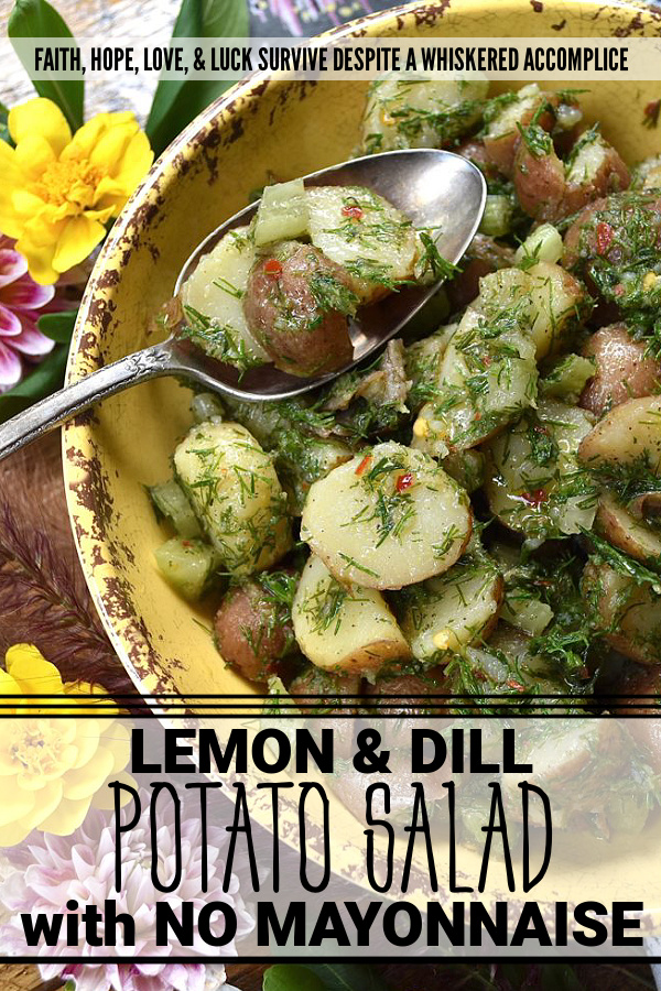 Lemon & Dill Potato Salad with No Mayonnaise - The zest and juice of a lemon, give this potato salad, made with no mayonnaise, a light, refreshing, and vibrant flavor. Add in a generous amount of fresh dill and crunchy diced celery, and you'll see just why this potato salad is such a fantastic side dish. it pairs well with almost any main course, is easy to make, and you won't have to worry about it sitting out for a bit, due to the lack of mayo.