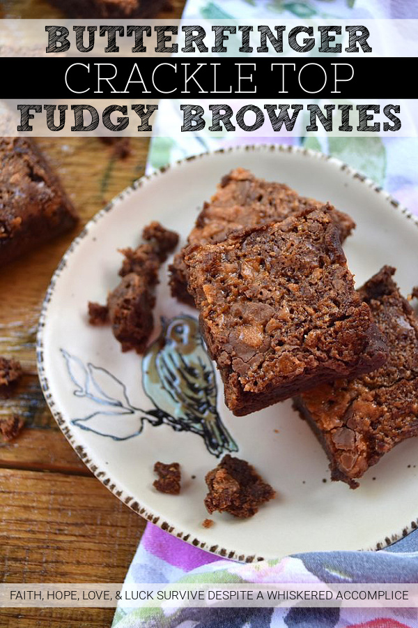 Butterfinger Crackle Top Fudgy Brownies - I'm not quite sure just how one itty bitty candy bar can turn simple homemade brownies into something so amazingly delicious, however, when it comes to these Butterfinger Crackle Top Fudgy Brownies, that itty bitty Butterfinger candy bar is definitely a miracle worker. It almost magically gives these brownies a lovely crackly top, while also making them chewy, fudgy, chocolatey, and just a wee touch salty all at the same time. When it comes to homemade, made from scratch brownies, it doesn’t get much better.