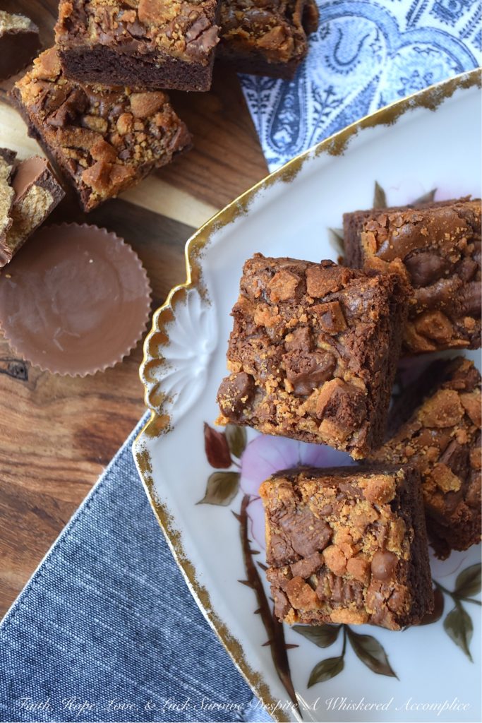 Reese's Cup Chocolate Pudding Brownies - This time-saving brownie recipe uses a store-bought chocolate pudding mix to give it its delicious chocolatey flavor. Throw a few roughly chopped Reese’s Cups on top of the brownie batter before baking, and you’ll have quick, easy-to-make peanut butter and chocolate brownies the whole family will instantly adore.