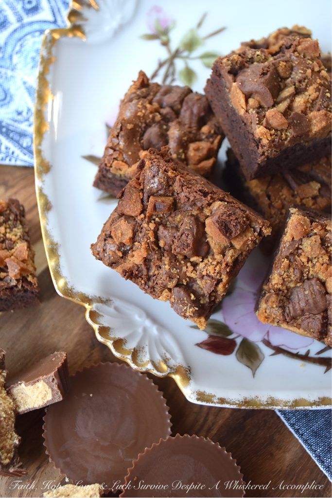 Reese's Cup Chocolate Pudding Brownies - This time-saving brownie recipe uses a store-bought chocolate pudding mix to give it its delicious chocolatey flavor. Throw a few roughly chopped Reese’s Cups on top of the brownie batter before baking, and you’ll have quick, easy-to-make peanut butter and chocolate brownies the whole family will instantly adore.
