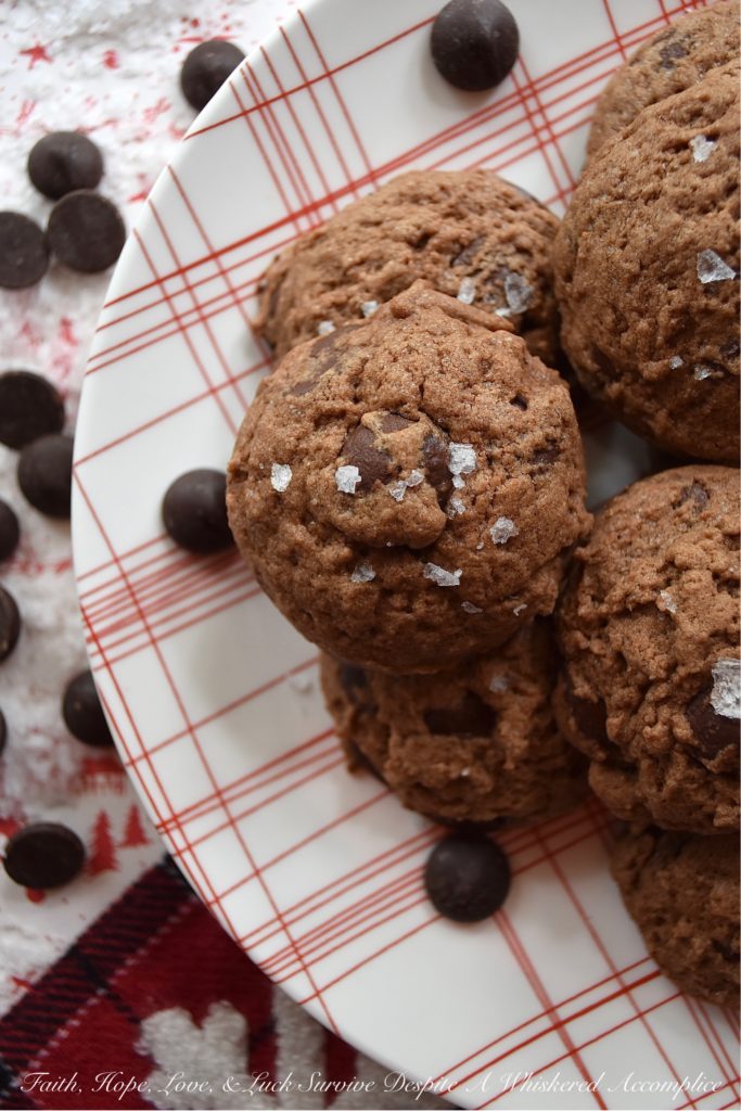 Chocolate Chip Cocoa Powder Cookies - You can't celebrate the holidays without a chocolate chip cookie or two on your cookie platter. And, if you did try to celebrate without them, I'm fairly certain that Santa would be pretty disappointed. So, this Christmas, why not make Santa really merry with these chocolate chip cocoa powder cookies? They're super chocolatey and have just a hint of sea salt to make this almost irresistible. Even to Santa.