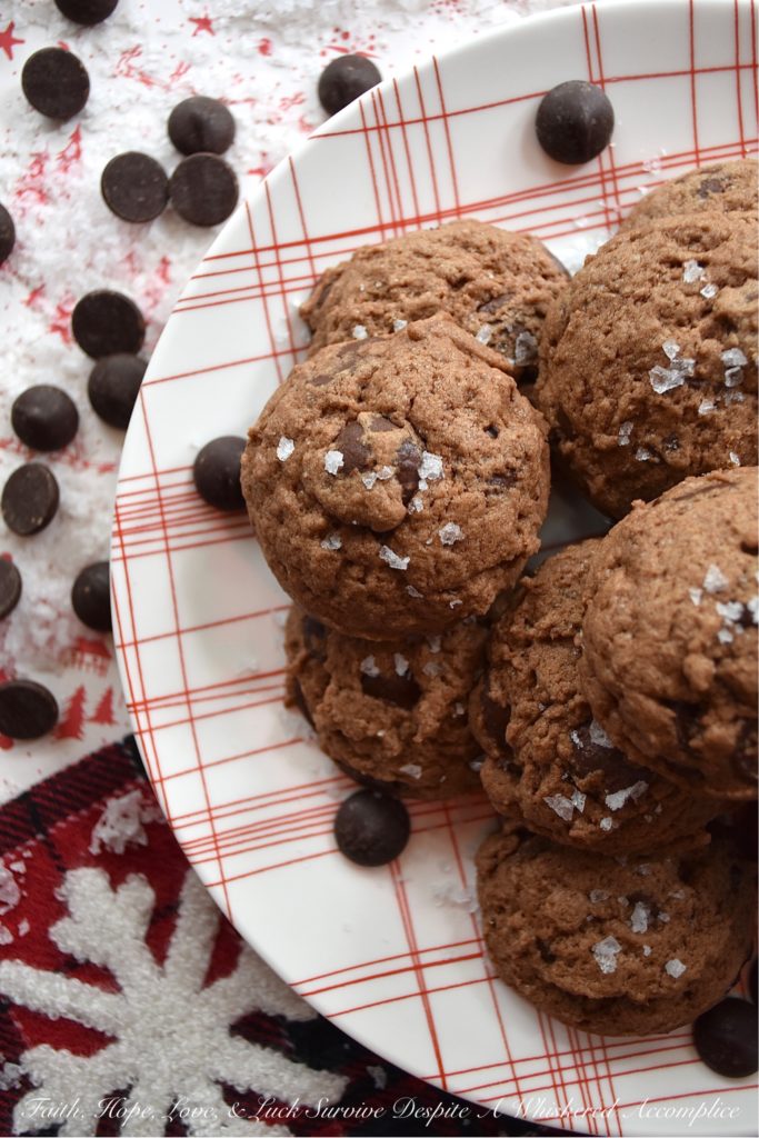 Chocolate Chip Cocoa Powder Cookies - You can't celebrate the holidays without a chocolate chip cookie or two on your cookie platter. And, if you did try to celebrate without them, I'm fairly certain that Santa would be pretty disappointed. So, this Christmas, why not make Santa really merry with these chocolate chip cocoa powder cookies? They're super chocolatey and have just a hint of sea salt to make this almost irresistible. Even to Santa.