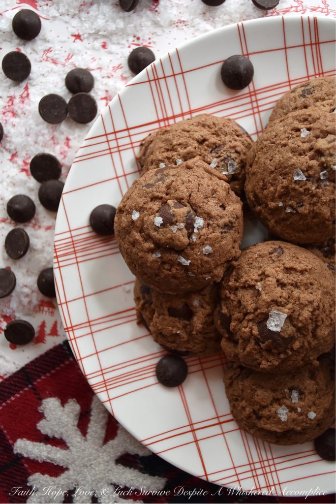 Chocolate Chip Cocoa Powder Cookies - You can't celebrate the holidays without a chocolate chip cookie or two on your cookie platter. And, if you did try to celebrate without them, I'm fairly certain that Santa would be pretty disappointed. So, this Christmas, why not make Santa really merry with these chocolate chip cocoa powder cookies? They're super chocolatey and have just a hint of sea salt to make this almost irresistible. Even to Santa.