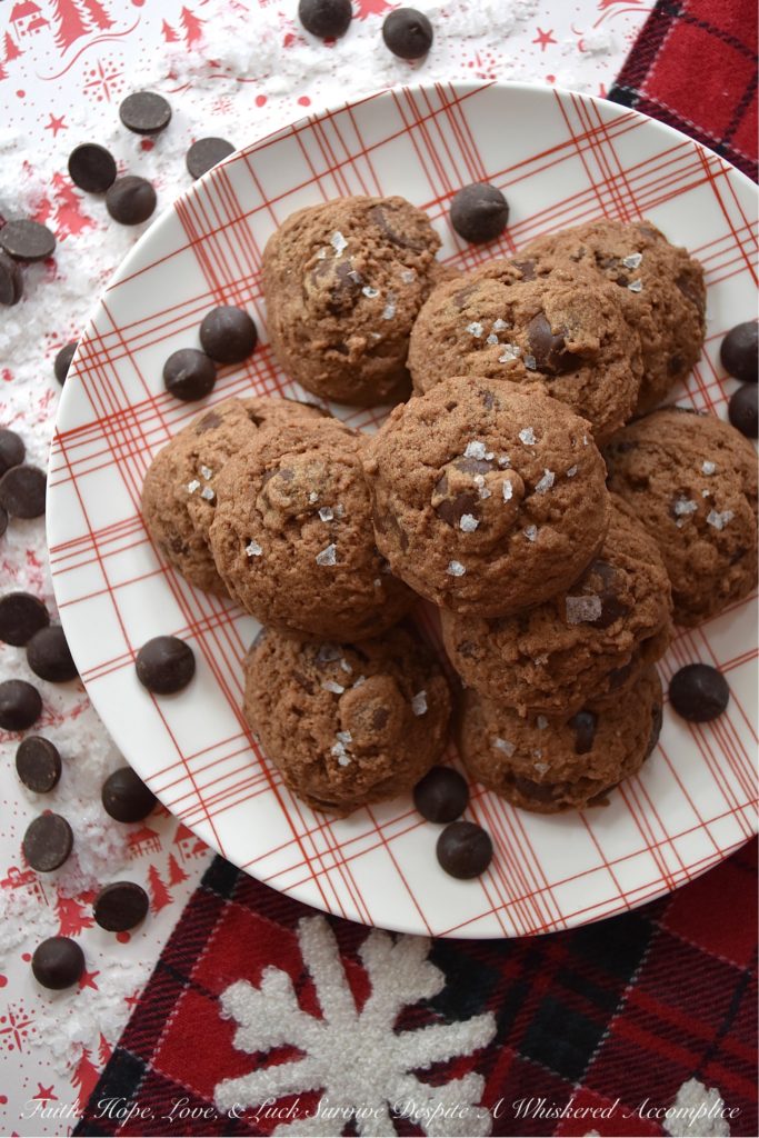 Chocolate Chip Cocoa Powder Cookies - You can't celebrate the holidays without a chocolate chip cookie or two on your cookie platter. And, if you did try to celebrate without them, I'm fairly certain that Santa would be pretty disappointed. So, this Christmas, why not make Santa really merry with these chocolate chip cocoa powder cookies? They're super chocolatey and have just a hint of sea salt to make this almost irresistible. Even to Santa.