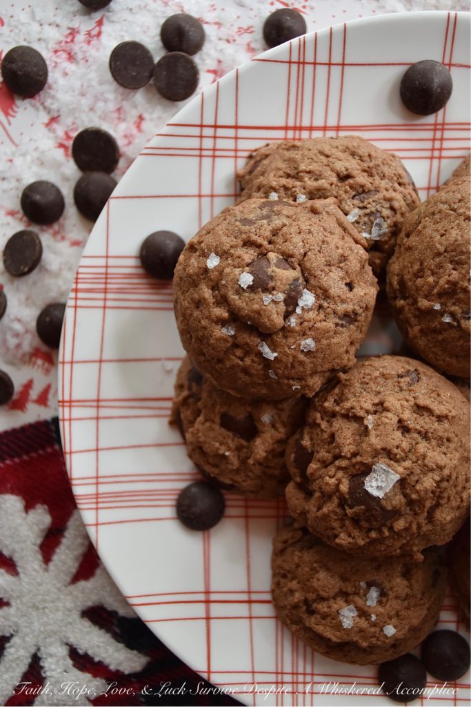 Chocolate Chip Cocoa Powder Cookies - You can't celebrate the holidays without a chocolate chip cookie or two on your cookie platter. And, if you did try to celebrate without them, I'm fairly certain that Santa would be pretty disappointed. So, this Christmas, why not make Santa really merry with these chocolate chip cocoa powder cookies? They're super chocolatey and have just a hint of sea salt to make this almost irresistible. Even to Santa.