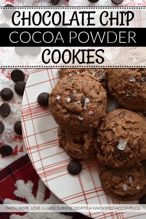 Chocolate Chip Cocoa Powder Cookies - You can't celebrate the holidays without a chocolate chip cookie or two on your cookie platter. And, if you did try to celebrate without them, I'm fairly certain that Santa would be pretty disappointed. So, this Christmas, why not make Santa really merry with these chocolate chip cocoa powder cookies? They're super chocolatey and have just a hint of sea salt to make this almost irresistible. Even to Santa.