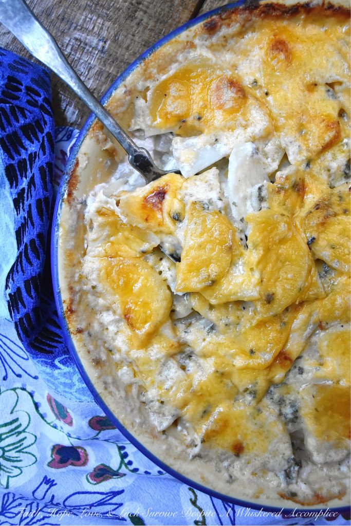 Oven-Baked Au Gratin Potatoes in a Pie Dish - This easy-to-make oven-baked au gratin potato side dish will definitely become one of your new go-to recipes. So, grab a pie dish, slice up some potatoes, and crank up that oven. It's time to make some creamy, cheesy, comforting au gratin potatoes for dinner.