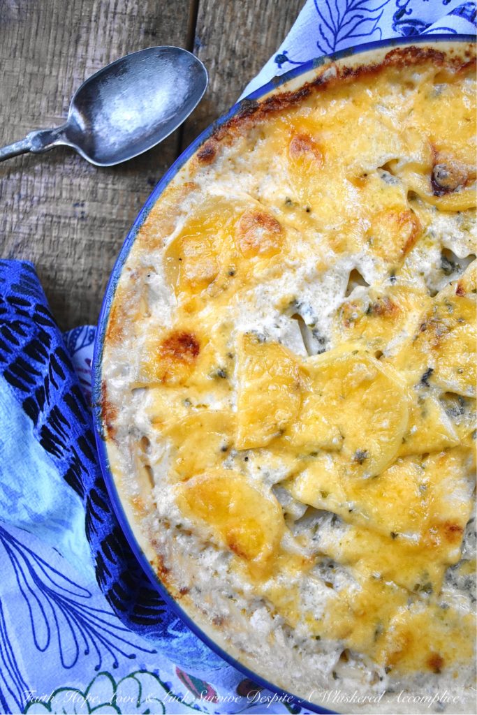 Oven-Baked Au Gratin Potatoes in a Pie Dish - This easy-to-make oven-baked au gratin potato side dish will definitely become one of your new go-to recipes. So, grab a pie dish, slice up some potatoes, and crank up that oven. It's time to make some creamy, cheesy, comforting au gratin potatoes for dinner.