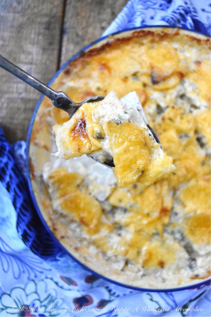 Oven-Baked Au Gratin Potatoes in a Pie Dish - This easy-to-make oven-baked au gratin potato side dish will definitely become one of your new go-to recipes. So, grab a pie dish, slice up some potatoes, and crank up that oven. It's time to make some creamy, cheesy, comforting au gratin potatoes for dinner.