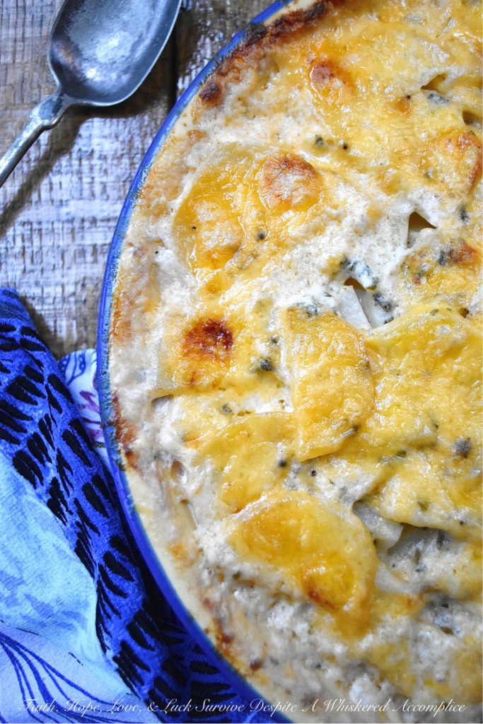 Oven-Baked Au Gratin Potatoes in a Pie Dish - This easy-to-make oven-baked au gratin potato side dish will definitely become one of your new go-to recipes. So, grab a pie dish, slice up some potatoes, and crank up that oven. It's time to make some creamy, cheesy, comforting au gratin potatoes for dinner.