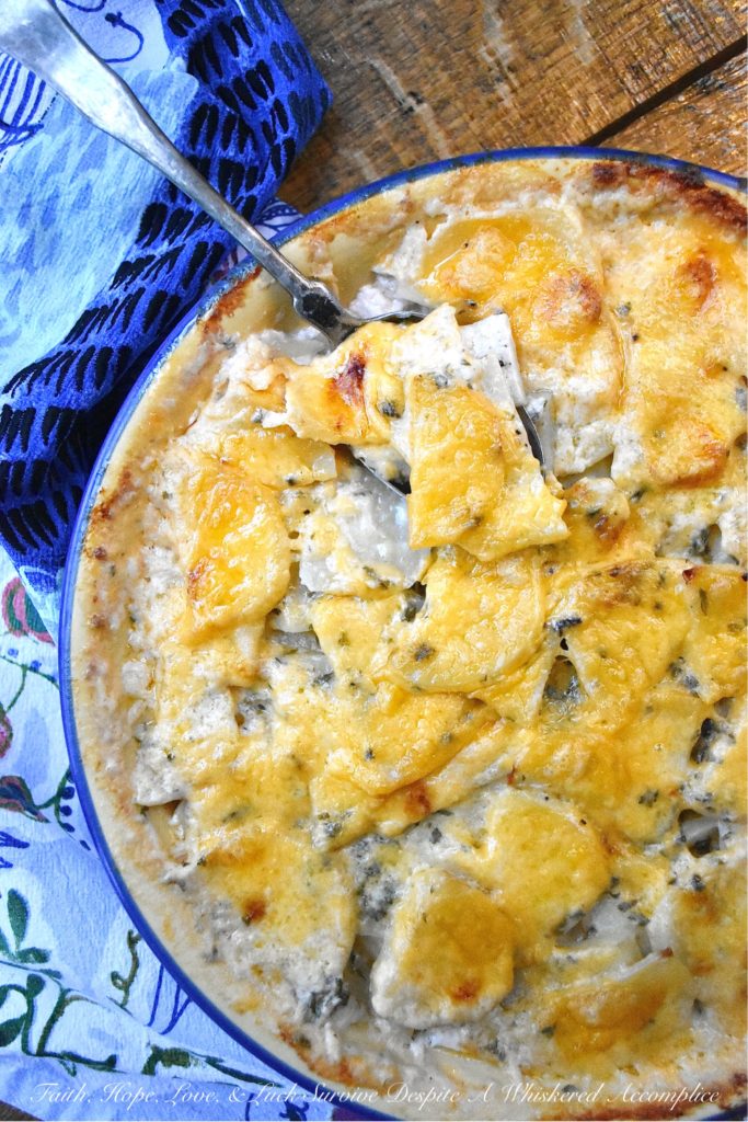 Oven-Baked Au Gratin Potatoes in a Pie Dish - This easy-to-make oven-baked au gratin potato side dish will definitely become one of your new go-to recipes. So, grab a pie dish, slice up some potatoes, and crank up that oven. It's time to make some creamy, cheesy, comforting au gratin potatoes for dinner.