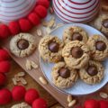 Flourless Chunky Peanut Butter Blossoms - After chocolate chip cookies, peanut butter cookies topped with Hersey's kisses, are probably one of the most-baked cookies of all time. So, I think it's pretty safe to say that these six-ingredient peanut butter blossom cookies, which are flourless and therefore gluten-free, will definitely win you over with their sweet flavor and crunchy texture.