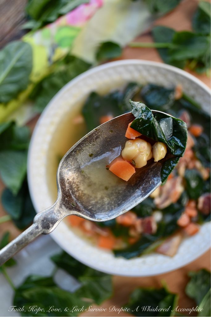 Spinach & Chickpea Soup with Bacon & Beer - This flavorful soup is a great way to put a healthy meal on the table, while still indulging in a guilty pleasure or two at the same time. The carrots, fresh spinach, and chickpeas work so well with the beer used in this soup's broth and the crispy bacon garnish adds just the right amount of salty deliciousness that's almost impossible to resist.