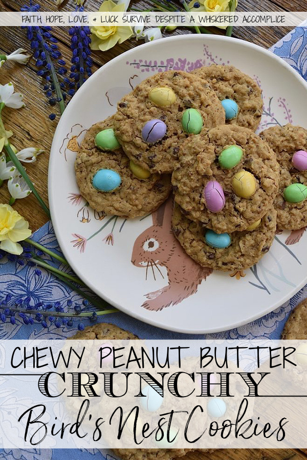 Chewy Peanut Butter Crunchy Bird's Nest Cookies - If you like your cookies to be both chewy and crunchy at the same time, then this peanut butter cookie recipe is going to become your new best friend. Not only are these cookies topped with everyone's favorite candy, Peanut M&M's, but they're also packed with peanut butter flavor. Your biggest issue with these cookies will be finishing them before they crumble in your hands because these cookies are super-delicate. But you know what? A few crumbles are so worth it.