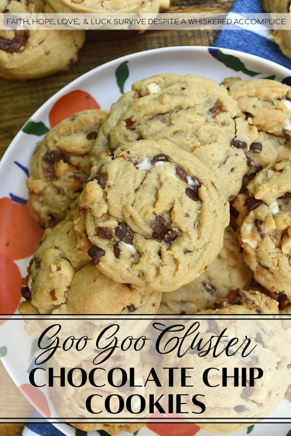 Goo Goo Cluster Chocolate Chip Cookies - You really can't beat a great chocolate chip cookie. However, if you add a few finely chopped Goo Goo Cluster candy bars to your cookie batter in addition to miniature chocolate chips and cocktail peanuts, your chocolate chip cookies will disappear practically as soon as you remove them from the oven. These chocolate-loaded, peanut and marshmallow cookies are definitely swoon-worthy.