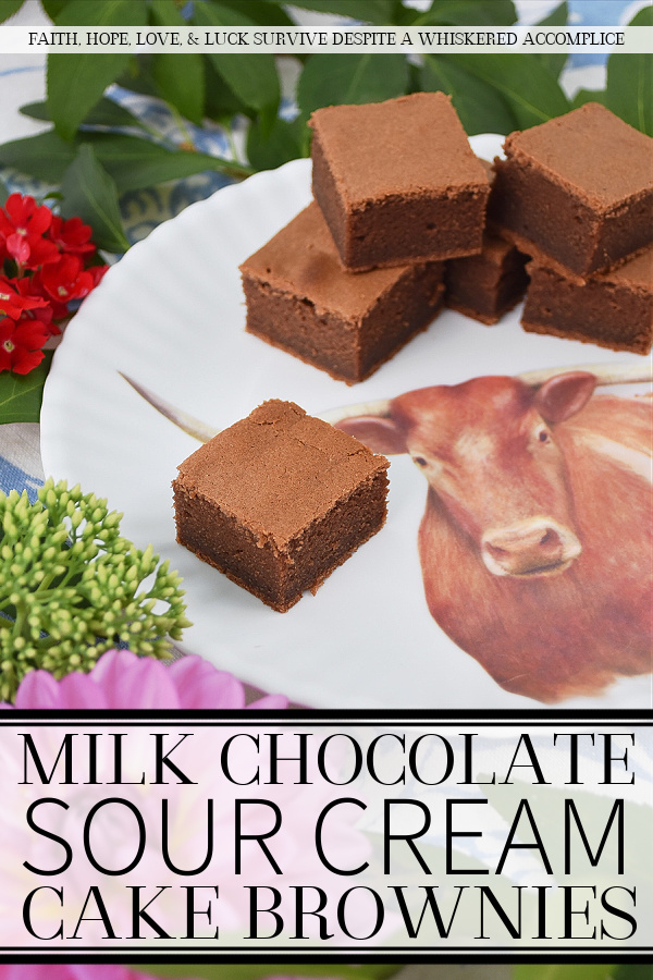 Milk Chocolate Sour Cream Cake Brownies - This no-fuss sour cream brownie recipe takes less than five minutes to whisk together and only twenty-five minutes to bake. That means that you can have warm chocolatey cake brownies in your kitchen in less than half an hour. I'm pretty sure that's a good thing.