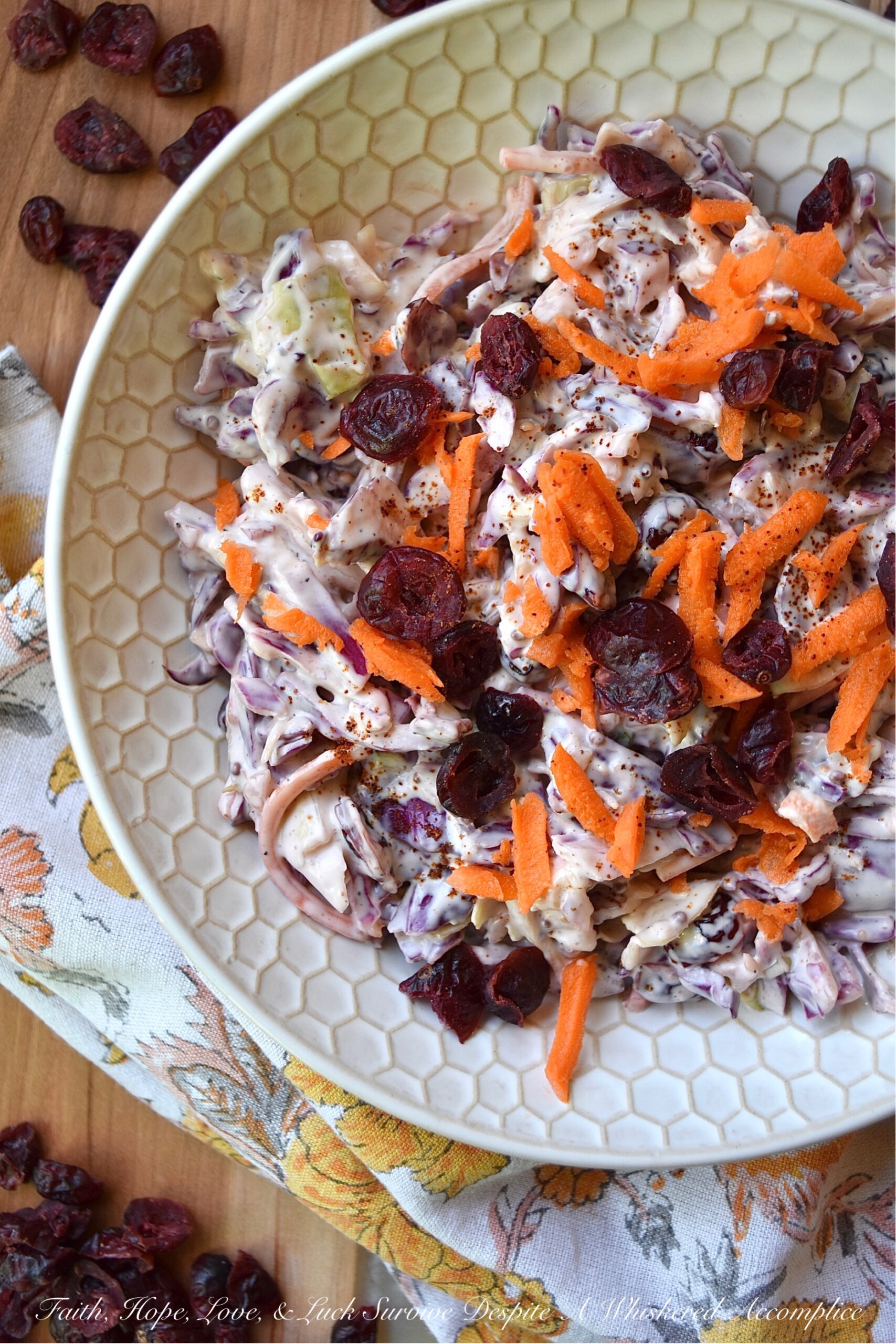 Dried Cranberry Creamy Chipotle Coleslaw