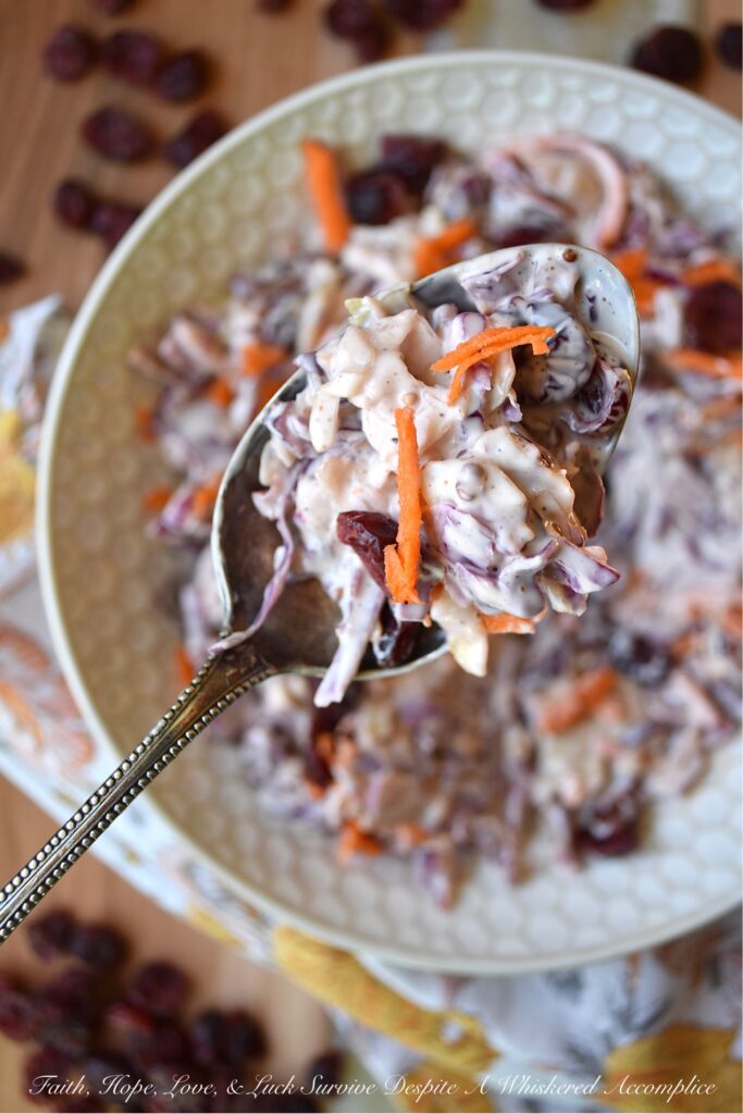 Dried Cranberry Creamy Chipotle Coleslaw - Turn a simple bag of pre-shredded coleslaw mix into a truly delicious creamy side dish with the addition of sweetened dried cranberries and just a touch of ground chipotle powder. This dried cranberry creamy chipotle coleslaw is the perfect addition to almost any busy weeknight meal, not to mention that it's also a creative way to sneak more fruits and vegetables onto your dinner plate.