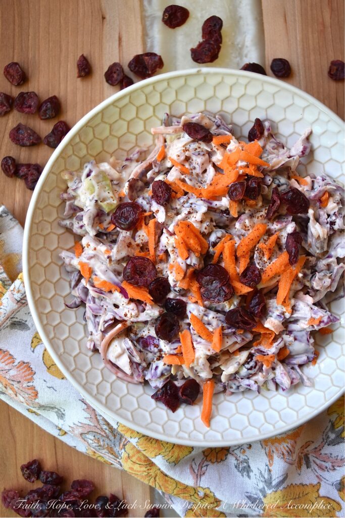 Dried Cranberry Creamy Chipotle Coleslaw - Turn a simple bag of pre-shredded coleslaw mix into a truly delicious creamy side dish with the addition of sweetened dried cranberries and just a touch of ground chipotle powder. This dried cranberry creamy chipotle coleslaw is the perfect addition to almost any busy weeknight meal, not to mention that it's also a creative way to sneak more fruits and vegetables onto your dinner plate.
