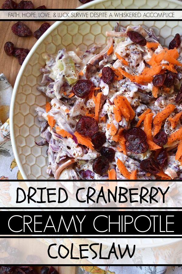 Dried Cranberry Creamy Chipotle Coleslaw - Turn a simple bag of pre-shredded coleslaw mix into a truly delicious creamy side dish with the addition of sweetened dried cranberries and just a touch of ground chipotle powder. This dried cranberry creamy chipotle coleslaw is the perfect addition to almost any busy weeknight meal, not to mention that it's also a creative way to sneak more fruits and vegetables onto your dinner plate.