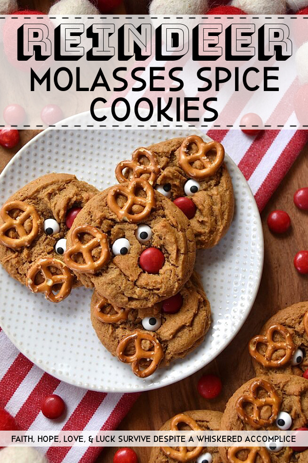 Reindeer Molasses Spice Cookies - These molasses spice cookies are the perfect sweet treat to leave out for Santa this Christmas Eve. And, with the addition of mini pretzel antlers, candy eyeballs, and chocolate M&M's noses, these easy-to-decorate sweet spice-filled molasses reindeer cookies will definitely ensure that you make Santa's Nice List this holiday season.