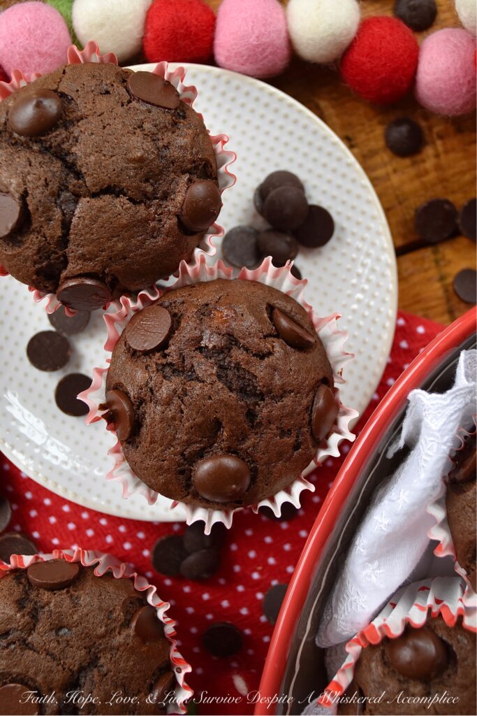 Small-Batch Double Chocolate Banana Muffins - Sometimes you wake up in the morning and find yourself craving chocolate. When you're having one of those mornings, this small-batch double chocolate banana muffin is just what you need. It makes only six muffins, so you won't have any guilt about eating a chocolate-filled muffin for breakfast.