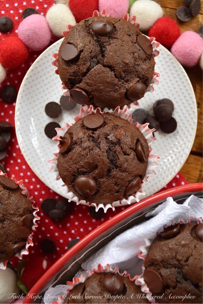 Small-Batch Double Chocolate Banana Muffins - Sometimes you wake up in the morning and find yourself craving chocolate. When you're having one of those mornings, this small-batch double chocolate banana muffin is just what you need. It makes only six muffins, so you won't have any guilt about eating a chocolate-filled muffin for breakfast.