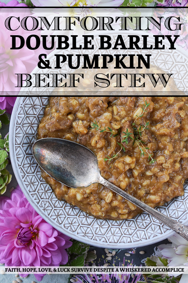 Comforting Double Barley & Pumpkin Beef Stew - There's nothing more comforting than a bowl of beef stew unless, of course, it's a bowl of steaming hot beef stew loaded with lots and lots of barley. Y'all, now that's comfort food at its best. Seriously folks, this really is a bowl of stew you can totally make a meal out of, and thanks to the pumpkin and seasonings, its flavor is totally as amazing as its texture.