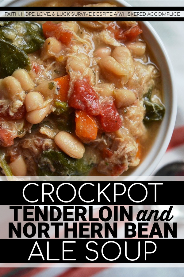 Crockpot Tenderloin and Northern Bean Ale Soup - It's wonderful to come home to this pork and bean soup dinner simmering away in a slow cooker, especially on a busy weeknight. This soup uses dried beans and is simple to throw together on a hectic morning before work. When you get home, just add a few more ingredients, and in half an hour dinner is ready.