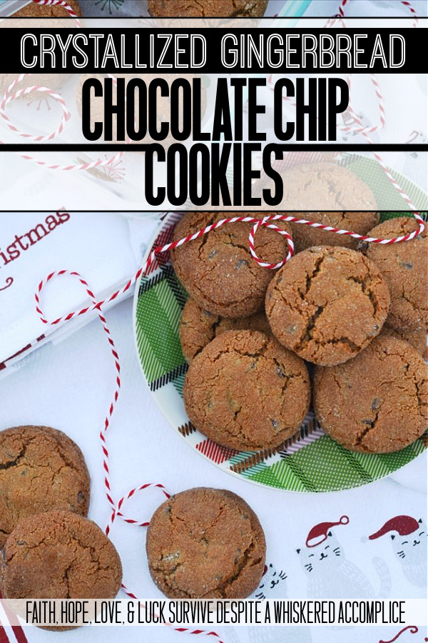 Crystallized Gingerbread Chocolate Chip Cookies - Every cookie exchange, cookie swap, or cookie tray should include a gingerbread cookie and this chocolate chip cookie version is one everyone will enjoy.
