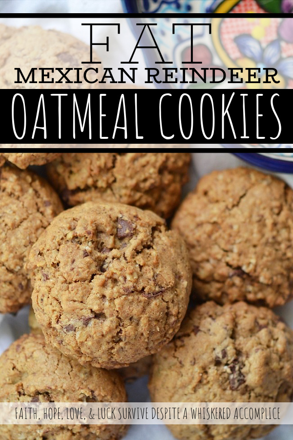 Fat Mexican Reindeer Oatmeal Cookies - These chewy Mexican chocolate chunk cookies get a cozy and flavorful kick from ground cinnamon and nutmeg. It's no wonder why Santa's reindeer simply can't resist these fat, plump, chunky, and oversized oatmeal cookies.