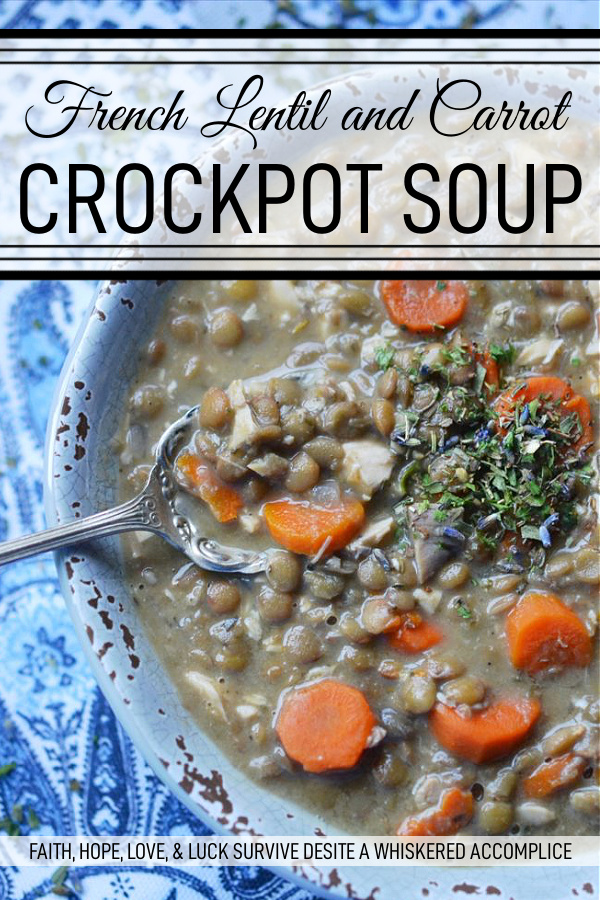 French Lentil and Carrot Crockpot Soup - How can so few ingredients result in such an amazing bowl of lentil soup? It's almost mind-boggling. This filling crockpot or slow-cooker soup recipe, containing rotisserie chicken, carrots, lentils, and Herbes de Provence, is sure to be an instant recipe hit with your family. They'll be delighted with its taste and you'll absolutely adore how easy it is to make on a busy weeknight.