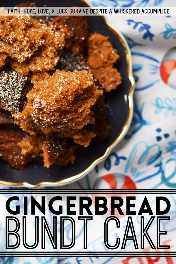 Gingerbread Bundt Cake - This light and airy holiday Bundt cake is moist, flavorful, and has just the right touch of cinnamon, nutmeg, and ginger to make it memorable.