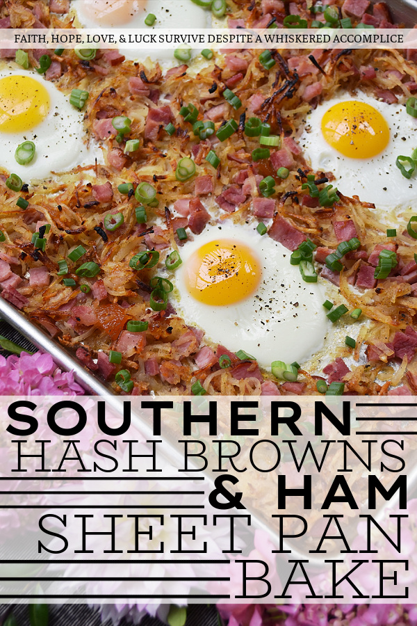 Southern Hash Browns & Ham Sheet Pan Bake - There's nothing more perfect for dinner on a busy weeknight than breakfast for dinner, especially when a sheet pan is used to make it. In this sheet pan bake, hash browns and ham are tossed with a special southern sauce made using apricot preserves, apple jelly, horseradish, and mustard. Add in a few eggs and some freshly chopped scallions, and dinner is served. Or breakfast if you prefer.