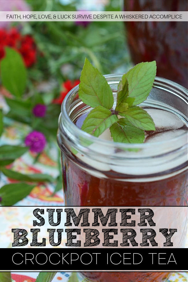 Summer Blueberry Crockpot Iced Tea - During the hot humid summer months, I enjoy coming up with new ways to use my crockpot in the kitchen. If my slow cooker is going to take up space, it needs to earn its keep. Don't let summer pass you by without a glass of this refreshing blueberry-laced iced tea.