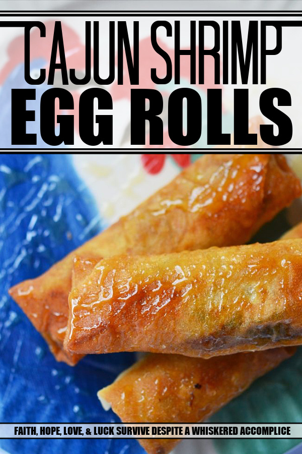 Cajun Shrimp Egg Rolls - Asian meets Cajun in this easy-to-make Cajun Shrimp Egg Roll recipe. Use store-bought spring roll shells, cellophane noodles, and cole slaw mix to make flavorful crunchy egg rolls, with the addition of chopped shrimp and Cajun seasoning. Serve with honey for the perfect sweet and spicy flavor combination.