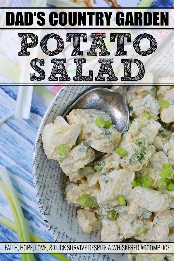 Dad's Country Garden Potato Salad - This country potato salad is made using fresh ingredients straight from the garden, along with creamy mayonnaise and a few simple ingredients. Loaded with hard-boiled eggs, finely chopped celery, fresh parsley, and chopped garden scallions or spring onions, this flavorful side salad is one that any dad would be thrilled to be served.