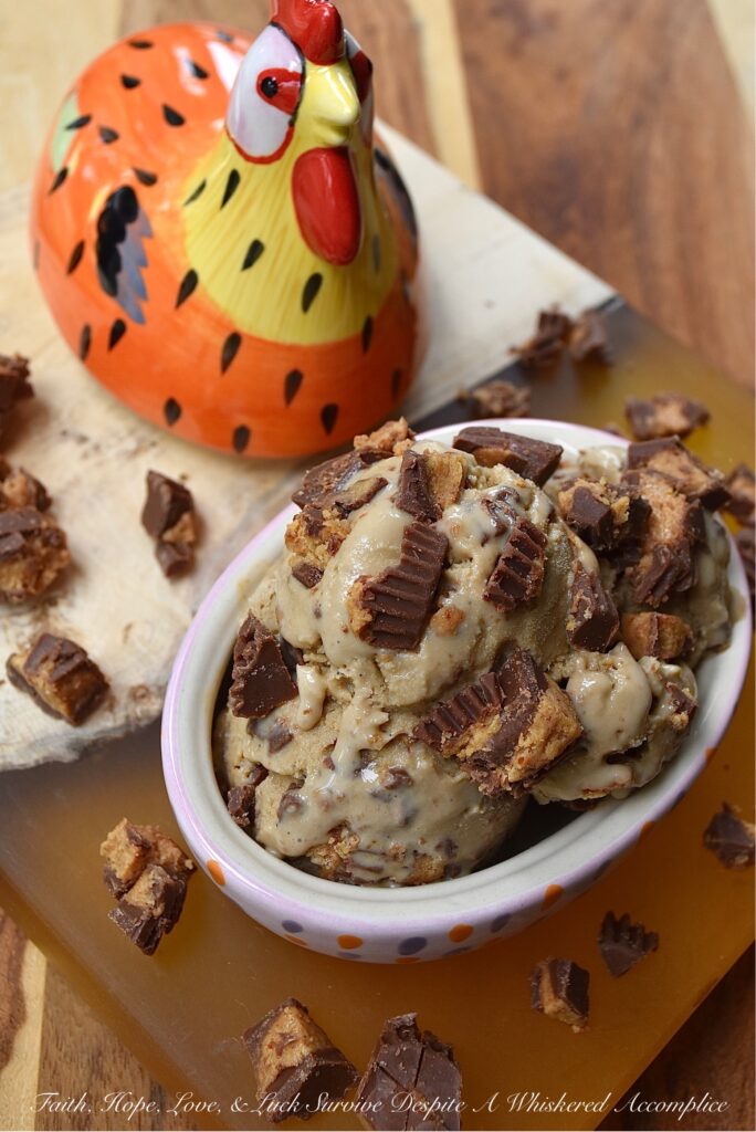 Peanut Butter Cup Coffee Ice Cream - If you have a strong affection, or even perhaps an addiction, to coffee, ice cream, or peanut butter cups, this is definitely the dessert for you. This sweet peanut butter cup coffee ice cream owes its rich and creamy decadent texture to its frozen custard base and its over-the-top flavor to roughly chopped peanut butter cups, vanilla, and instant espresso.
