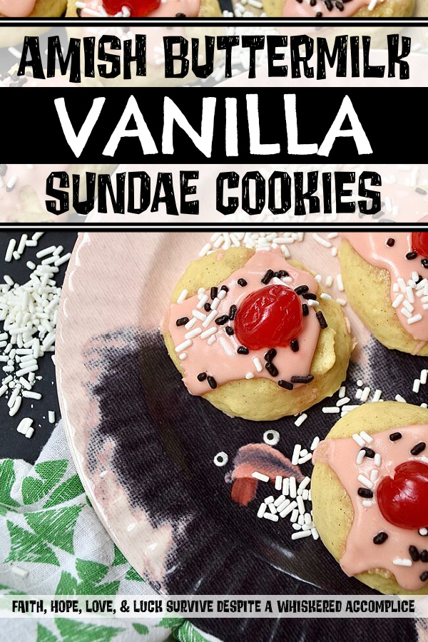 Amish Buttermilk Vanilla Sundae Cookies - These buttermilk Amish cookies are soft, dreamy, flecked with vanilla bean seeds, and covered in a sweet, creamy, decadent cherry juice and vanilla-infused icing. To create charmingly adorable and irresistible cakey sundae cookies no one can resist, simply sprinkle on a few sprinkles and top with half a maraschino cherry.