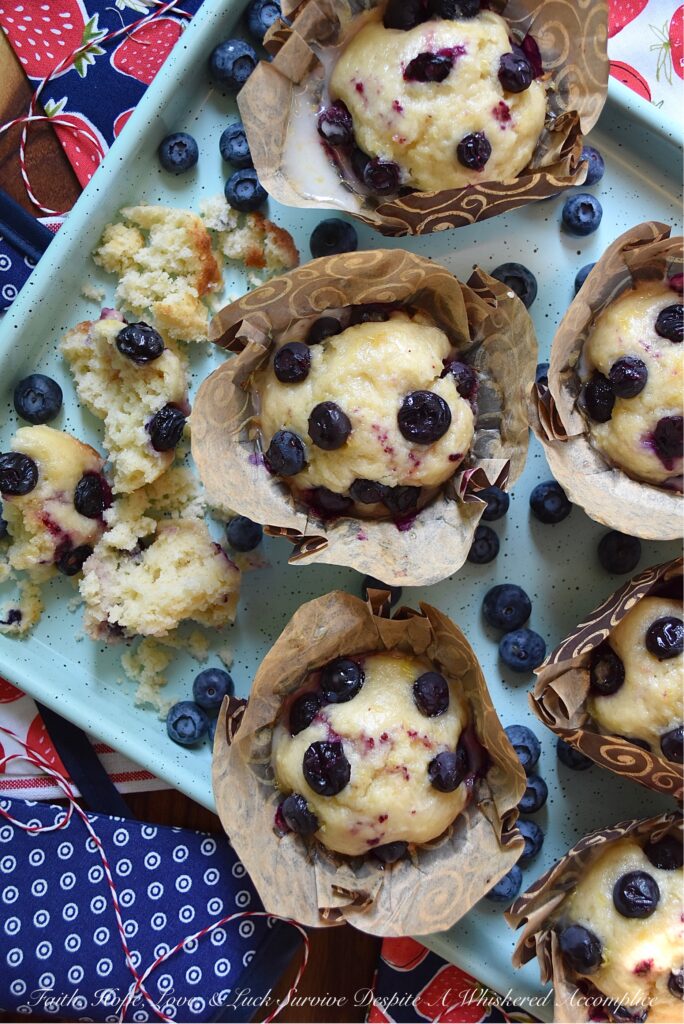 Blueberry-Topped Lemon Ricotta Muffins - These luscious lemon ricotta muffins are everything you could ever desire a muffin to be. Lemony, rich, tender, studded with fresh blueberries, and dripping in a sweet lemon glaze. Plus, they’re a muffin recipe you won’t even have to drag the mixer out for. Does it get any better?