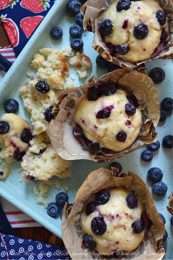 Blueberry-Topped Lemon Ricotta Muffins - These luscious lemon ricotta muffins are everything you could ever desire a muffin to be. Lemony, rich, tender, studded with fresh blueberries, and dripping in a sweet lemon glaze. Plus, they’re a muffin recipe you won’t even have to drag the mixer out for. Does it get any better?