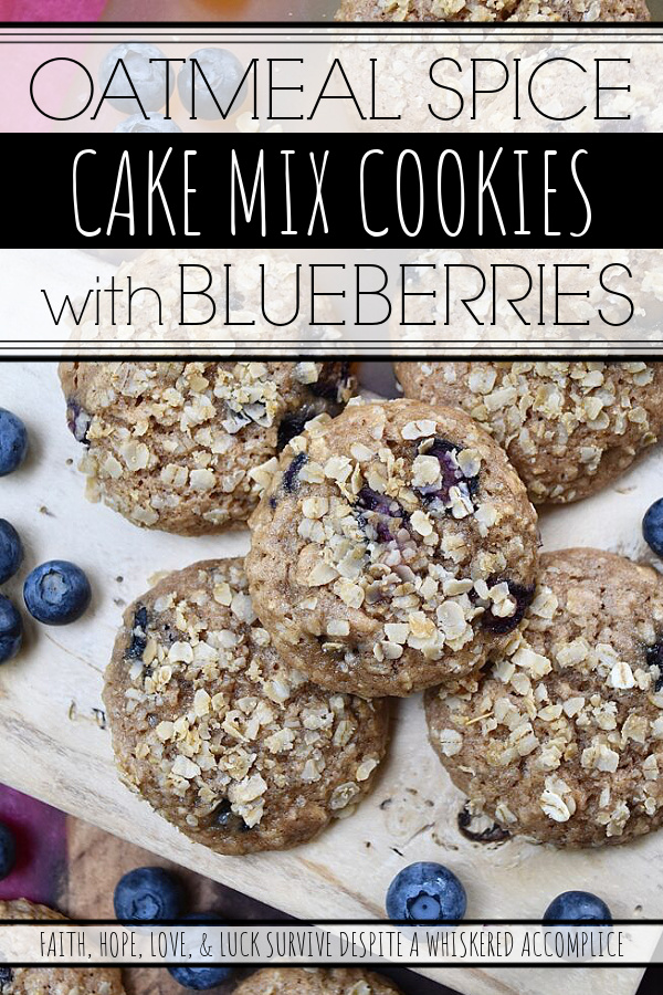 Oatmeal Spice Cake Mix Cookies with Blueberries - When blueberries are in season, it's a great time to use them in your baking. However, even if they're not in season, these moist oatmeal cookies made with a store-bought box of spice cake mix will still highlight even the blandest blueberry's gorgeous fruit flavor. If you're a fan of soft, cakey, fruit-filled cookies, then this is the recipe for you.