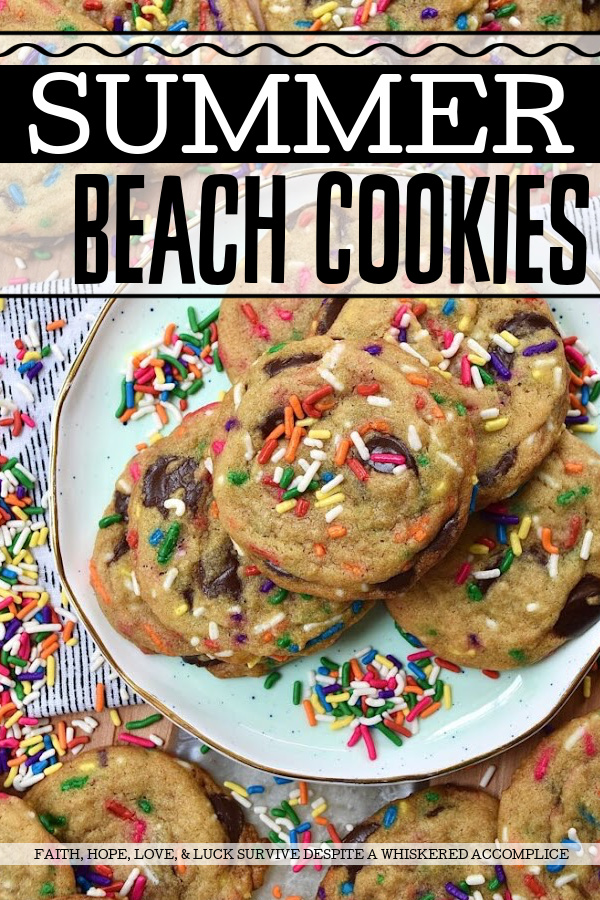 Summer Beach Cookies - A summer day at the beach is always a fun time, however, when cookies are involved, it's bound to be even more enjoyable. These Summer Beach Cookies are loaded with dark chocolate chips and an over-the-top amount of rainbow sprinkles. And, since these cookies are made using brown butter, you know that they're sure to taste every bit as good as they look.
