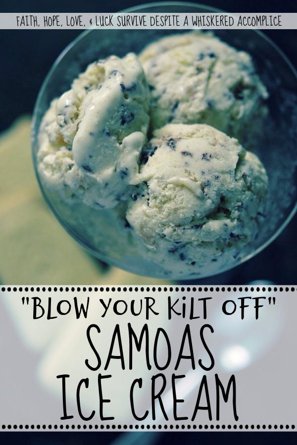 "Blow Your Kilt Off" Samoas Ice Cream - The vanilla bean base of this Samoas ice cream is super creamy and pairs perfectly with the toasted buttery coconut, semi-sweet chocolate chips, and crumbled shortbread it's combined with. If you're a fan of Samoas cookies and ice cream, it's definitely a homemade ice cream flavor you need to try.