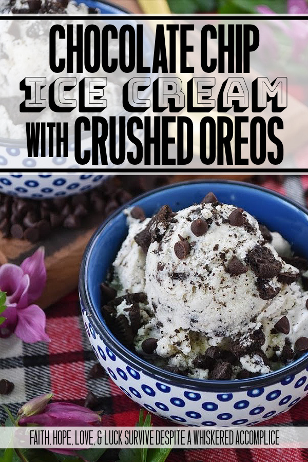 Chocolate Chip Ice Cream with Crushed Oreos - Choosing one flavor of ice cream is often difficult, but with this delicious ice cream, it doesn't have to be. This frozen dessert is basically two ice creams in one; chocolate chip and Oreo cookie. Who doesn't love it when chocolate chips and crushed Oreos are paired together? With this ice cream, no one's forced to choose a favorite.