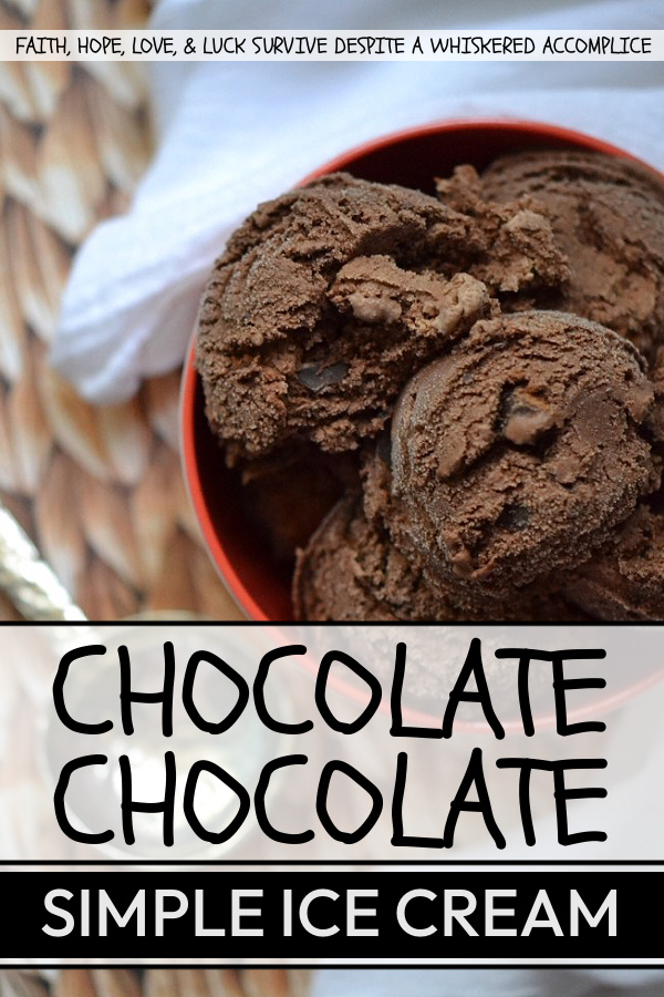 Chocolate Chocolate Simple Ice Cream - This is the perfect frozen treat for even the most dedicated chocolate lover. It's simple to make, decadent, super rich, and packed with chocolaty flavor. If you're a true chocoholic, this is definitely the double chocolate ice cream recipe for you.
