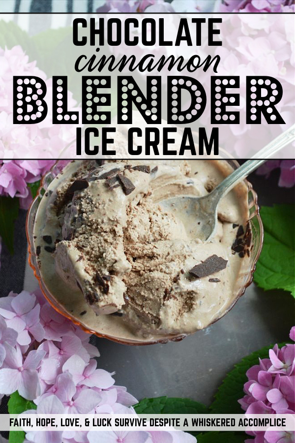 Chocolate Cinnamon Blender Ice Cream - With the aid of a blender, making homemade ice cream couldn't get any easier. Simply throw all of the ingredients into a blender, blend until smooth, and then churn in your ice cream machine until almost done. Add in a little bit of shaved chocolate, churn for an additional few minutes, and then you'll have the best chocolate cinnamon ice cream you've ever tasted.